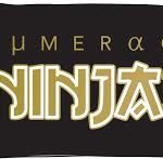 numeracy ninjas